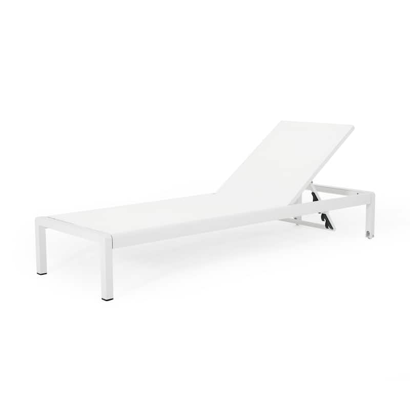 Christopher Knight Home Lucas Outdoor Aluminum Adjustable Chaise Lounge with Wheels，All Weather Use(Set of 2)