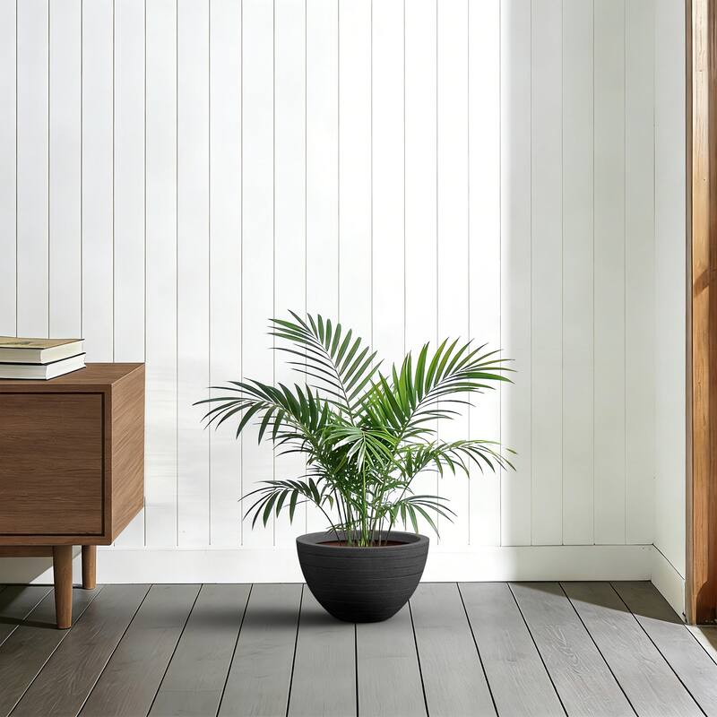 Concrete Round Loghtweight Planterwith Drainage Holes