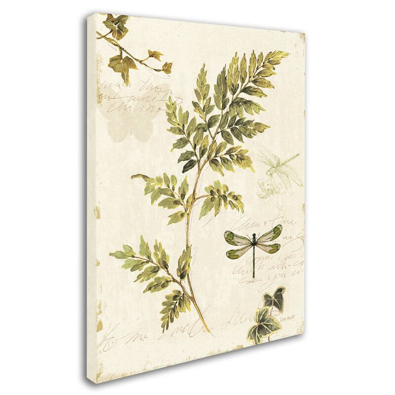 Lisa Audit 'Ivies and Ferns III' Canvas Art