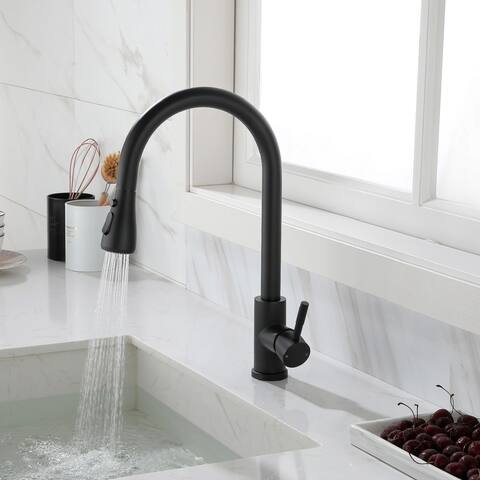 Rachel Kitchen Faucet with Pull Out Spray - 2.16W x 10.23L x 16.53H inches