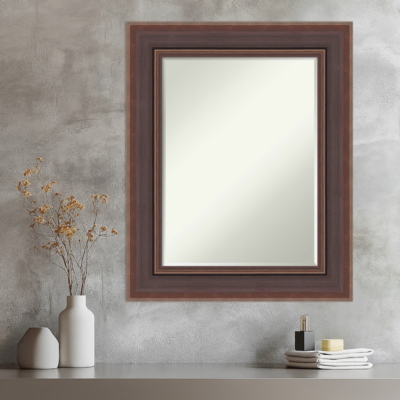 Moab Half-Inch-Bevel Framed Wall Mirror - Moab Brown Bronze - 26 x 32 in
