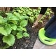 preview thumbnail 17 of 27, 2.1 Gallon Traditional Metal Watering Can with 20"L x 12.25"W Memory Foam Kneeling Cushion