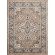 preview thumbnail 75 of 99, Nourison Quarry Indoor only Persian Area Rug. 7' x 10' - Beige/Grey