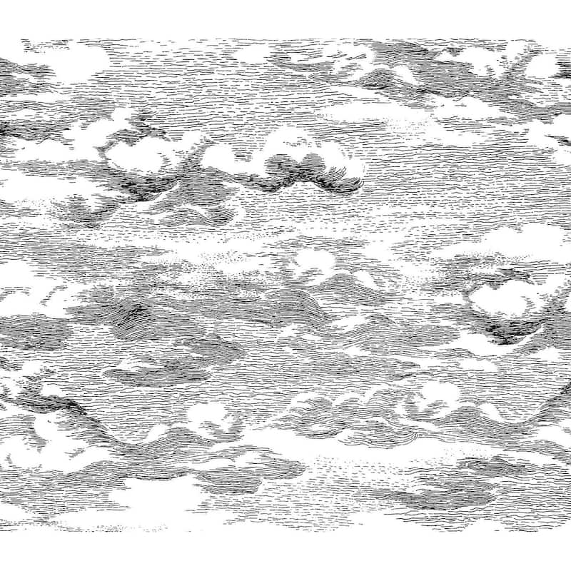 Harry & Grace Clouds Peel And Stick Wallpaper - 20.5 in. W x 18 ft. L - Black