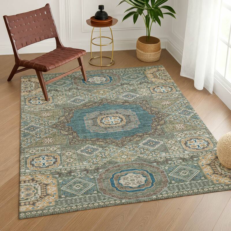 Machine Washable Indoor/ Outdoor Traditonal Isaiah Chantille Rug
