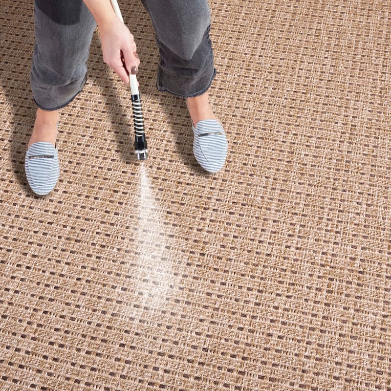 SAFAVIEH Retreat Caitriona Indoor/Outdoor Rug
