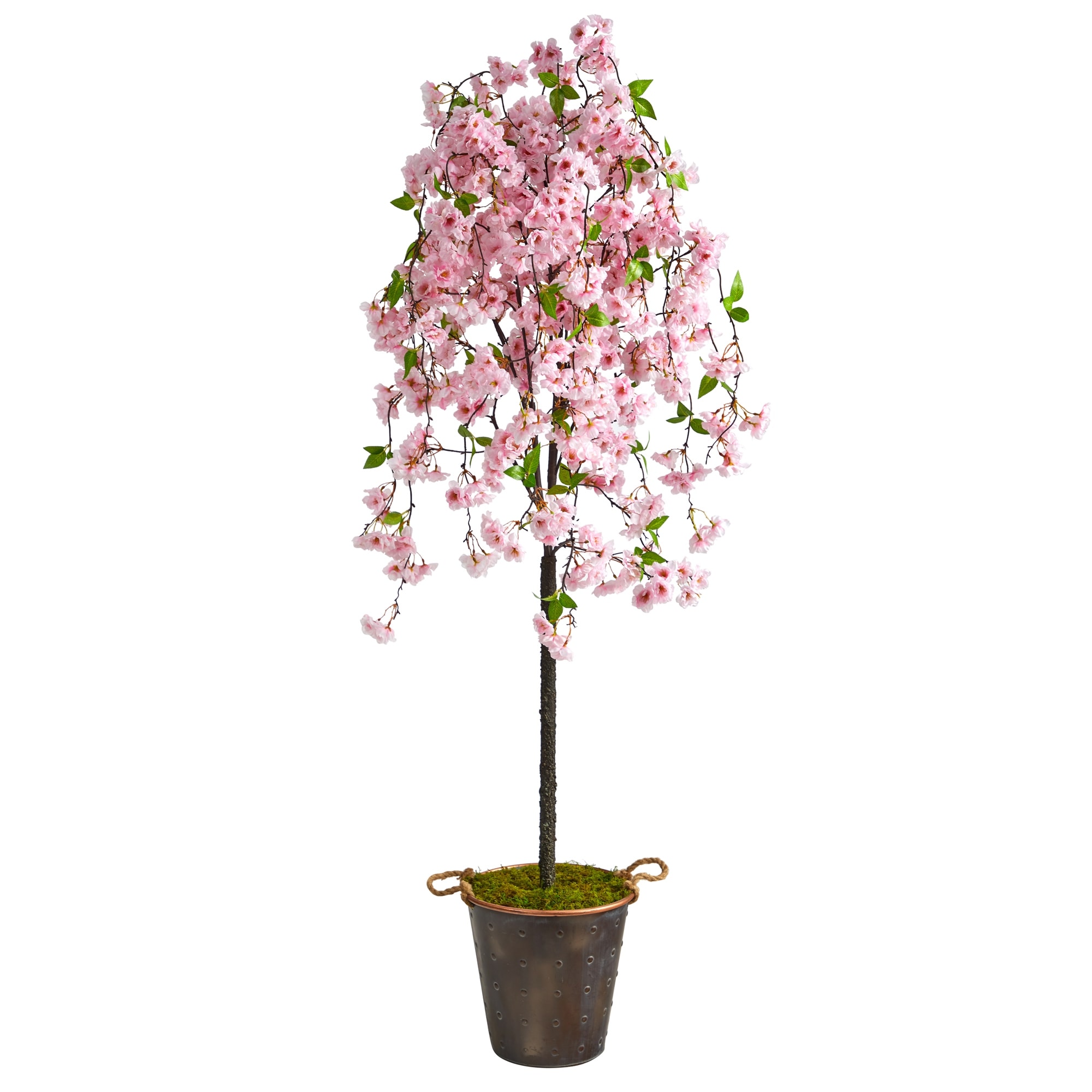 6' Cherry Blossom Artificial Tree in Decorative Metal Pail with Rope - 12"