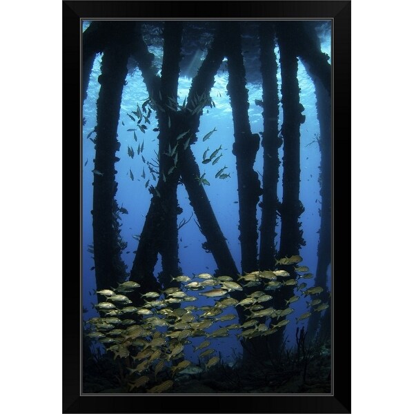 "Under the salt pier" Black Framed Print