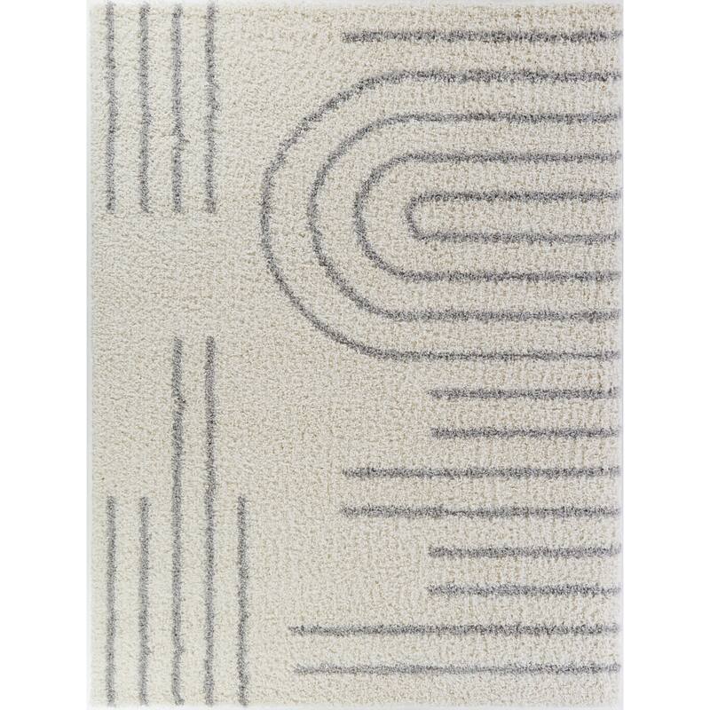 Janus Contemporary Berber Shag Area Rug