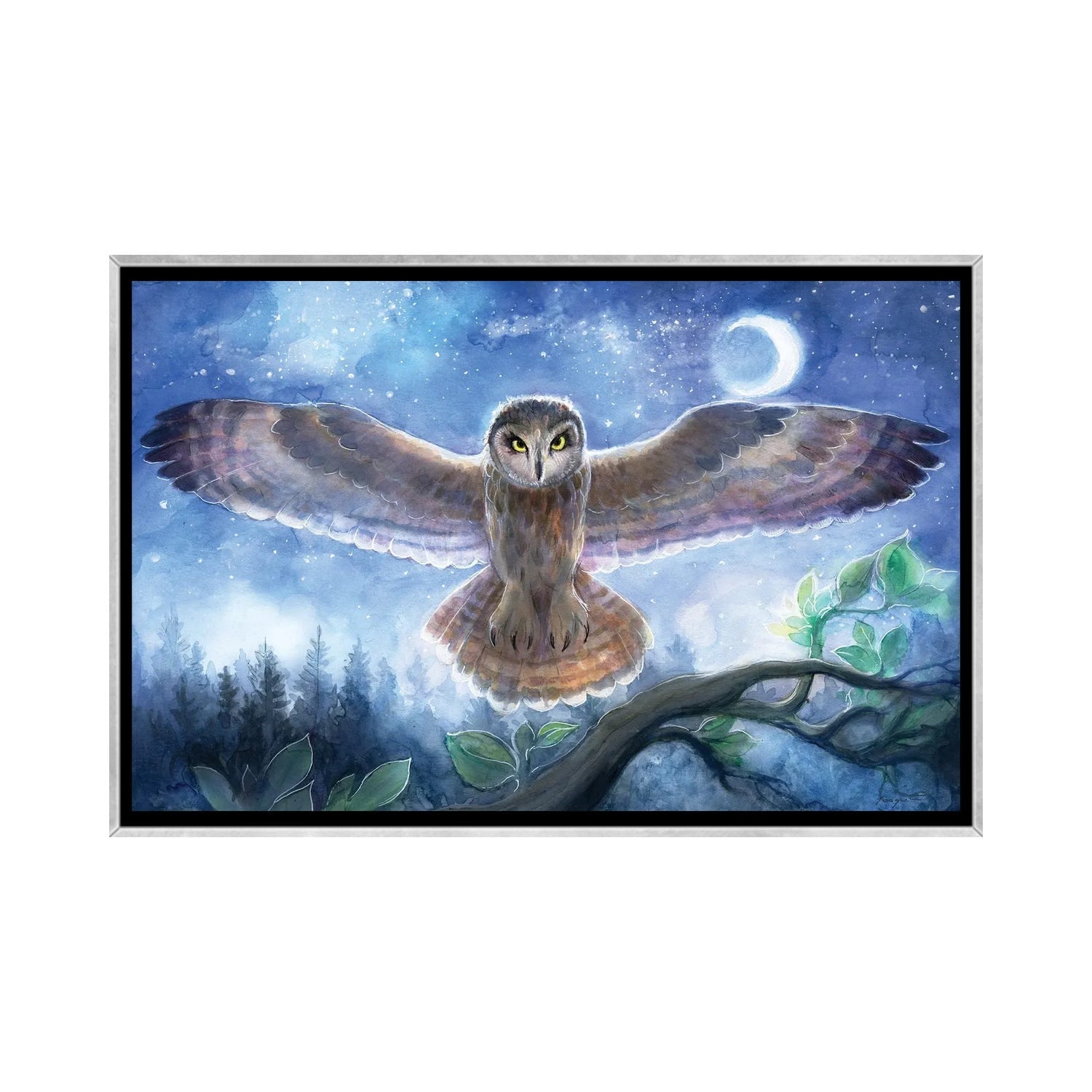 iCanvas "Spirit Owl" by David Joaquin Framed