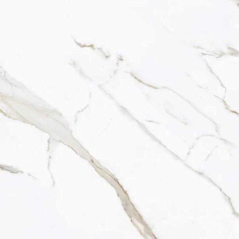 Regalia 24x24 in. Matte Color Body Porcelain Marble-look Vein Large Wall and Floor Tile (15.5 sq ft/case, 4-Pack)