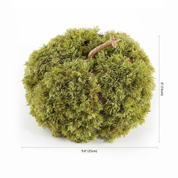 SAFAVIEH Faux 10 Inch Moss Pumpkin - 10" W x 10" D x 6" H