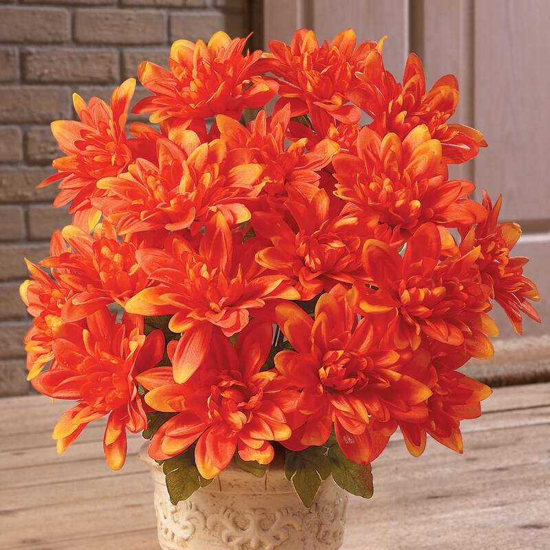 Floral Chrysanthemum Bushes - Set of 3 - 19.000 x 7.000 x 5.000