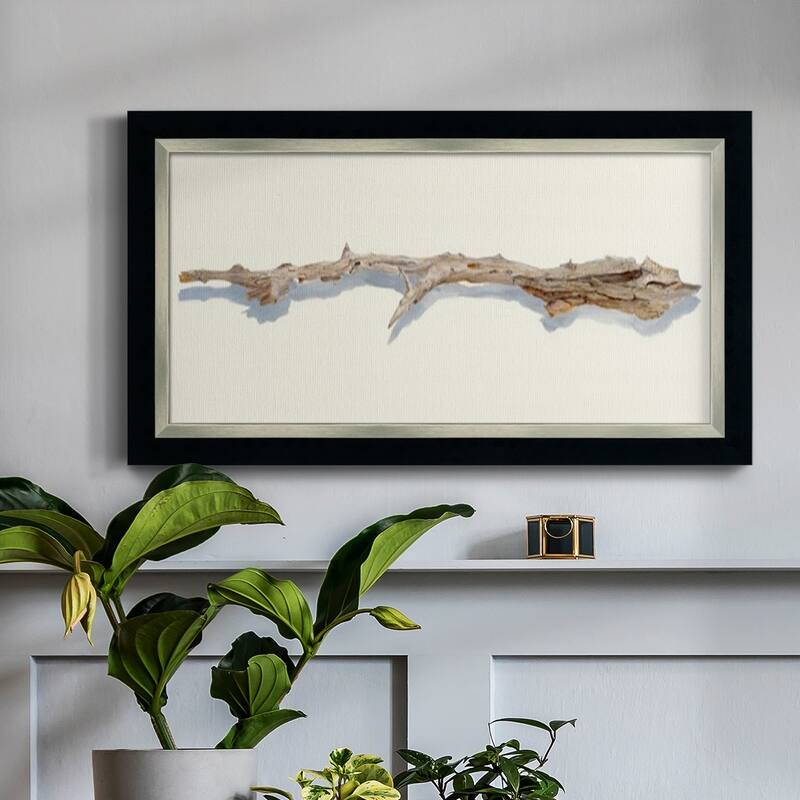 Driftwood Study I Premium Framed Canvas- Ready to Hang