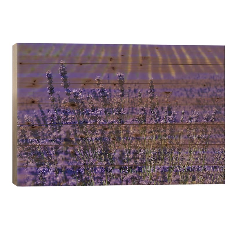 Lavender Farm, Furano, Hokkaido Prefecture, Japan Print On Wood by Keren Su - Multi-Color - 26x40x1.5