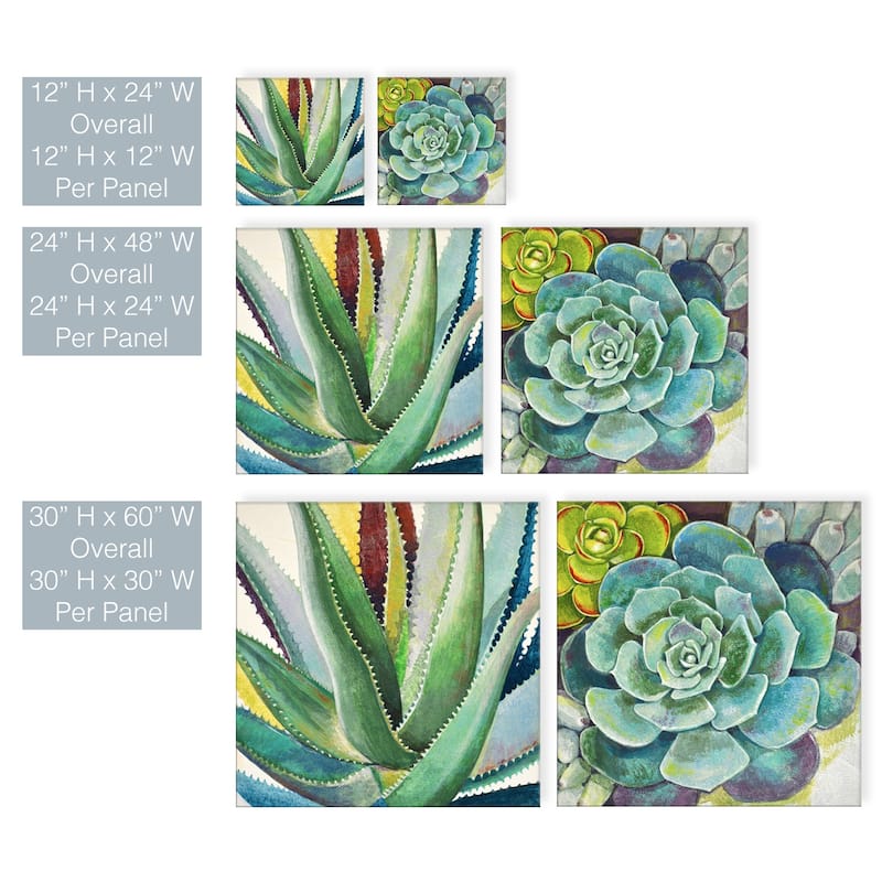 'Brilliant Succulents I/II' Wrapped Canvas Wall Art Set by Norman Wyatt Jr.