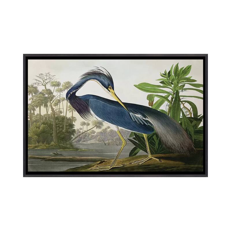 iCanvas "Louisiana Heron" by John James Audubon Framed - Ebony - 18x26