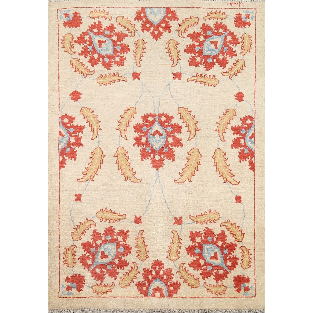 Vegetable Dye Floral Ziegler Area Rug Wool Hand-knotted Foyer Carpet - 3'2" x 4'4"