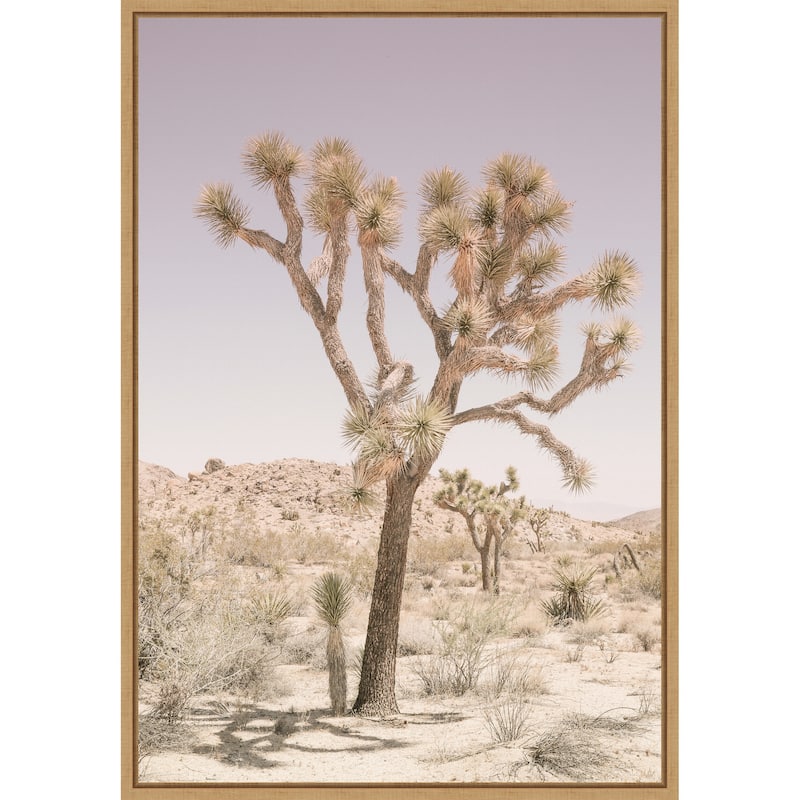 Joshua Tree by Shot by Clint Framed Canvas Wall Art Print - Sylvie Natural