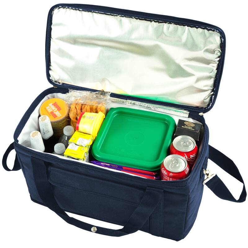 Picnic at Ascot Hybrid Semi-Rigid Folding Cooler Bag 42 Can