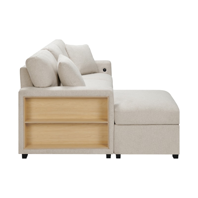 Salida 2-Piece Sectional Sofa Sleeper with Left Chaise