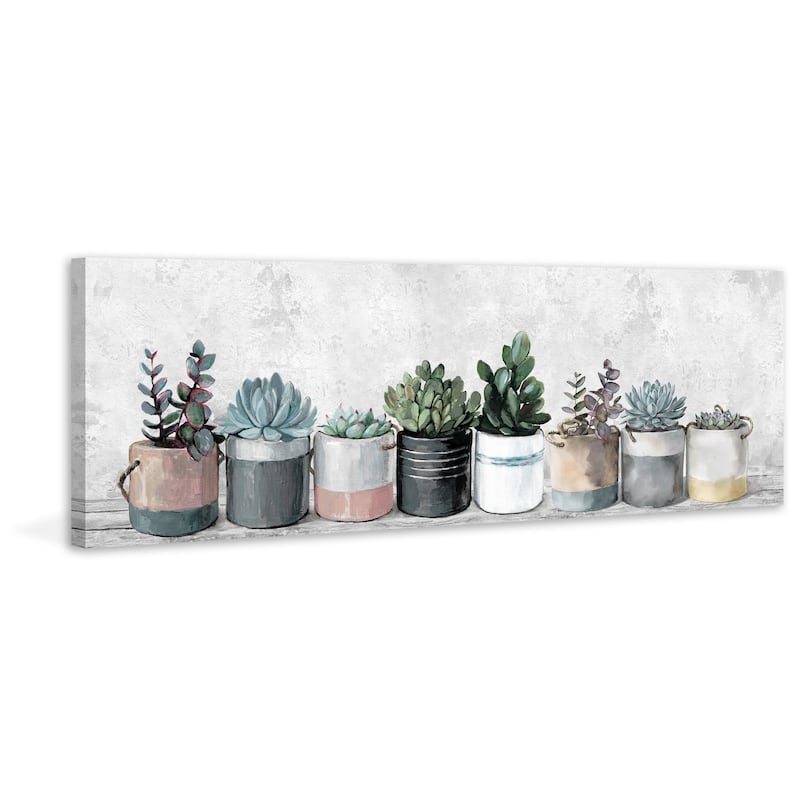 'Wild Succulents in Pots' Painting Print on Wrapped Canvas