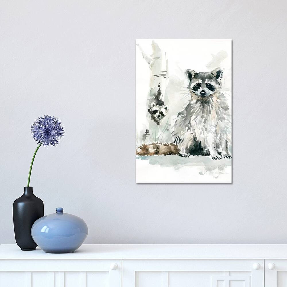 iCanvas "Raccoon and Baby" by Carol Robinson Canvas Print