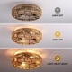 preview thumbnail 10 of 8, 19 In. Rattan Low Profile Ceiling Fan With Lights And Remote, Black Flush Mount Ceiling Fan Light