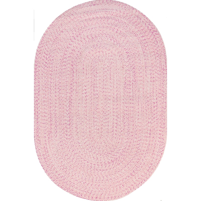 Nuloom Wynn Braided Indoor/Outdoor Area Rug