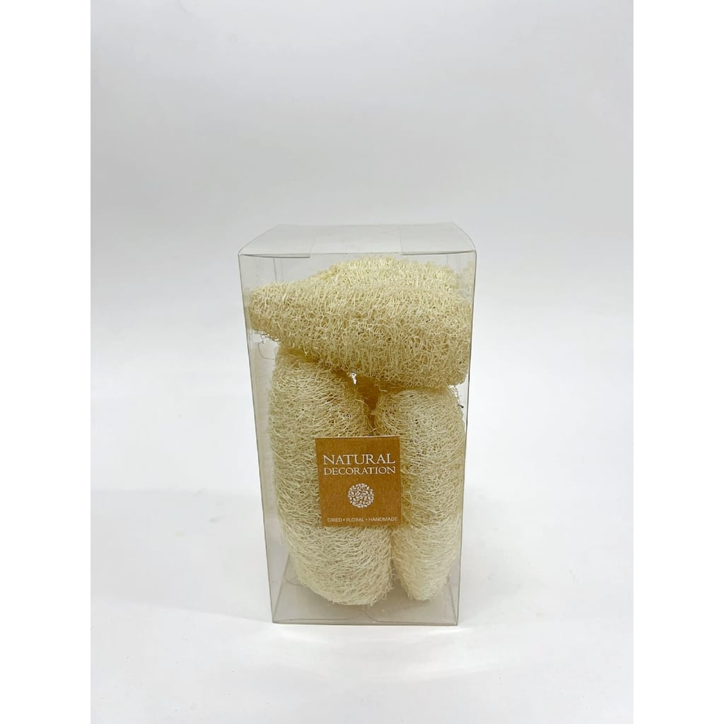 Dried Luffa Loofah Bowl Fillers - 7.75" - Bleach Finished