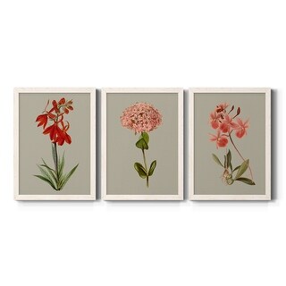 Botanical Array VII-Premium Framed Canvas - Ready to Hang - Multi-Color ...