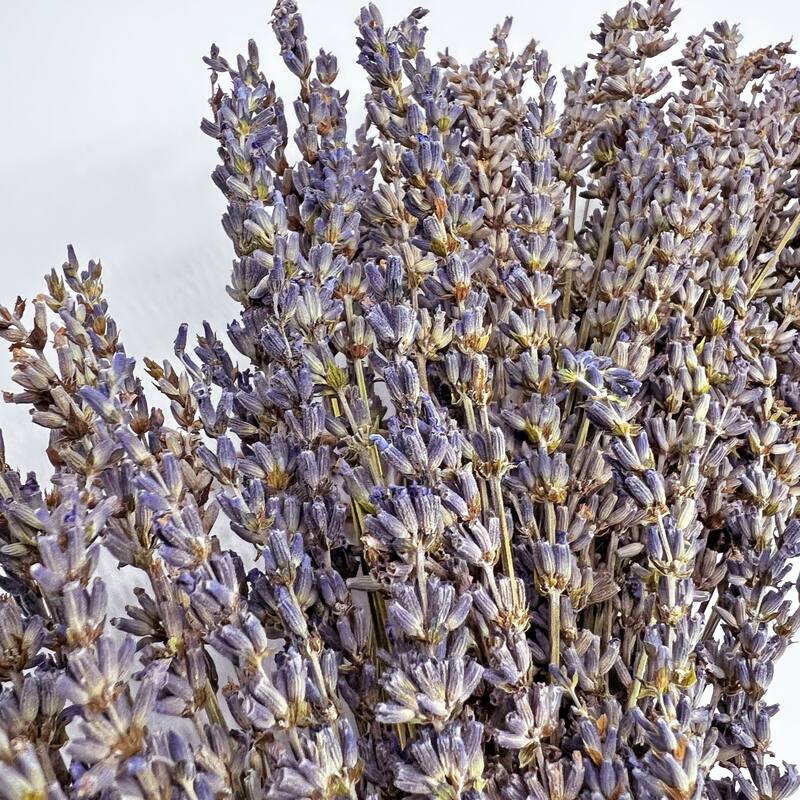 Preserved Decorative Real Dried Lavender Wreath - Purple