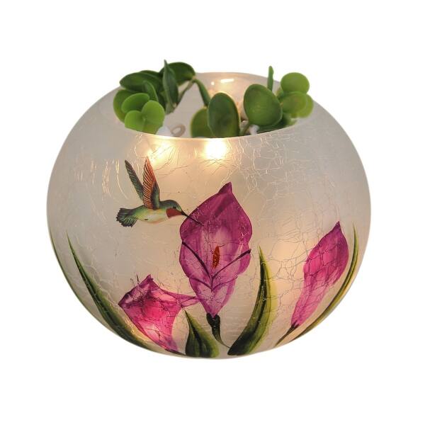 Shop Round Glass Hummingbird Vase W Led 5 4 25 X 5 5 X 5 5