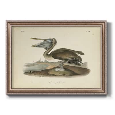 Audubons Brown Pelican Premium Framed Canvas- Ready to Hang