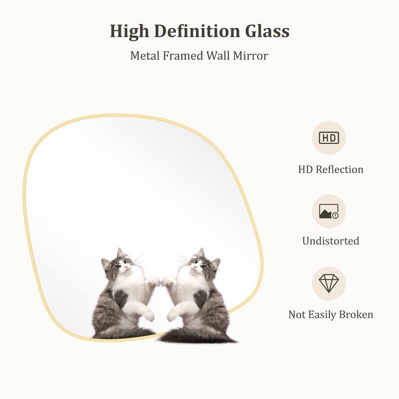 Aluminum Alloy Asymmetrical Wall Mirrors