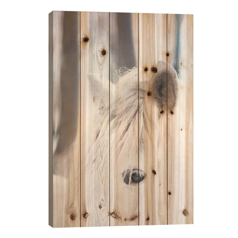 White Horse Print On Wood by Chelsea Victoria - Multi-Color - 40x26x1.5