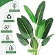 preview thumbnail 5 of 4, 5 Ft Artificial Tree Bird of Paradise Artificial Plant with Trunks Faux Plant Palm Tree - 6.3x6.3x60in