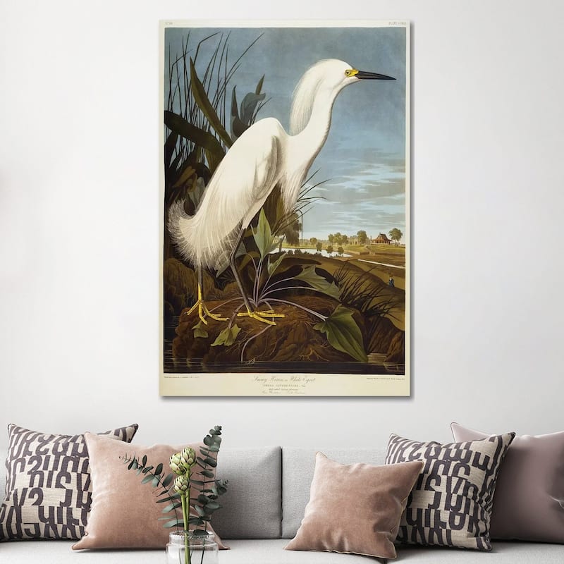 iCanvas "Snowy Heron Or White Egret / Snowy Egret " by John James Audubon Canvas Print