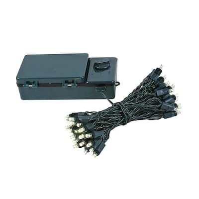 50 Light LED Battery Christmas Mini Light Set, Green Wire, 18' Long