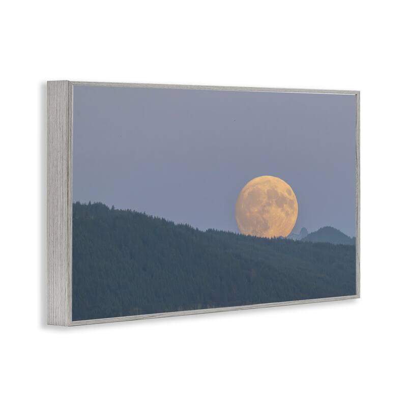 Stupell Majestic Moonrise Landscape Framed Giclee Art Design By Nancy Crowell