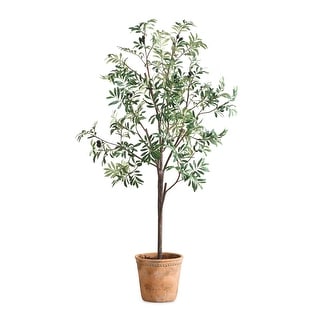 Uttermost Olea Potted Olive Tree