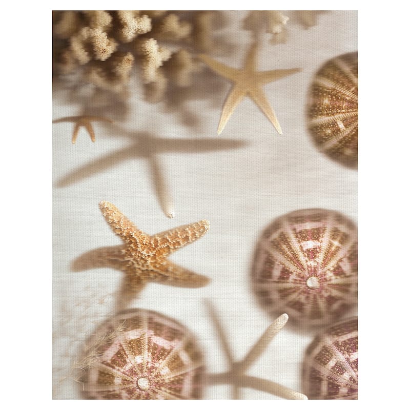 Nautical Illuminations No. 3 by Alan Blaustein Canvas Art Print