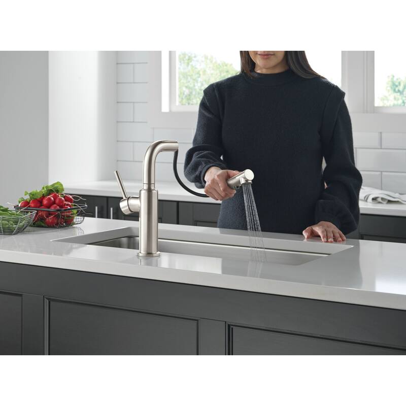 Delta 16879-DST Daneri 1.8 GPM Single Handle Pull Out Kitchen Faucet