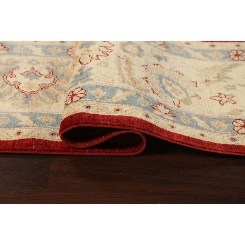Vegetable Dye Floral Ziegler Oriental Wool Area Rug Handmade Carpet - 10'1" x 13'8"