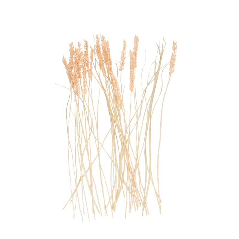 Dried Plant Tall Floral Bouquet Natural Foliage with Cream Stems - Pink or Orange - Roche River Decor