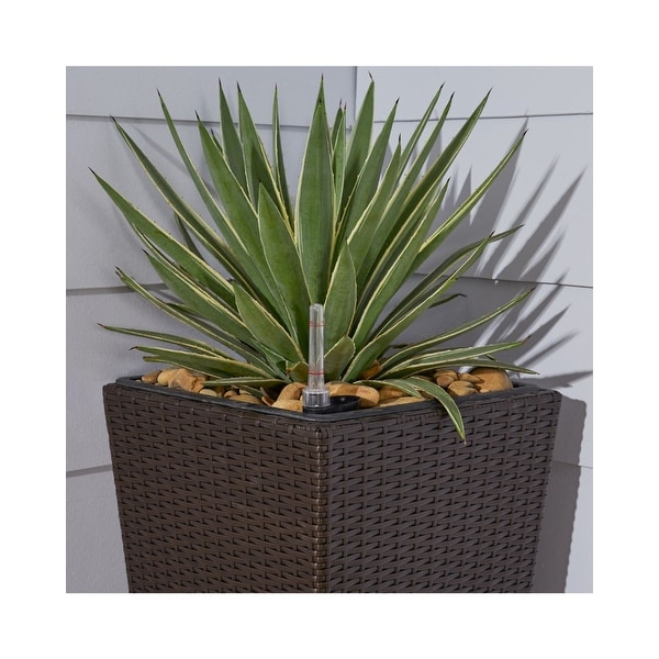31" Coffee Brown Cubico Smart Self-Watering Planter - N/A