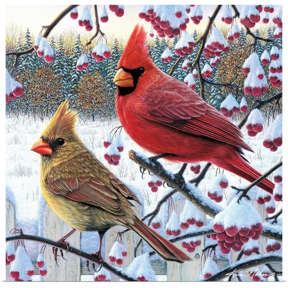 Winter Cardinals Poster Print Overstock 25492244 12 button holes at the top for shower hook. winter cardinals poster print
