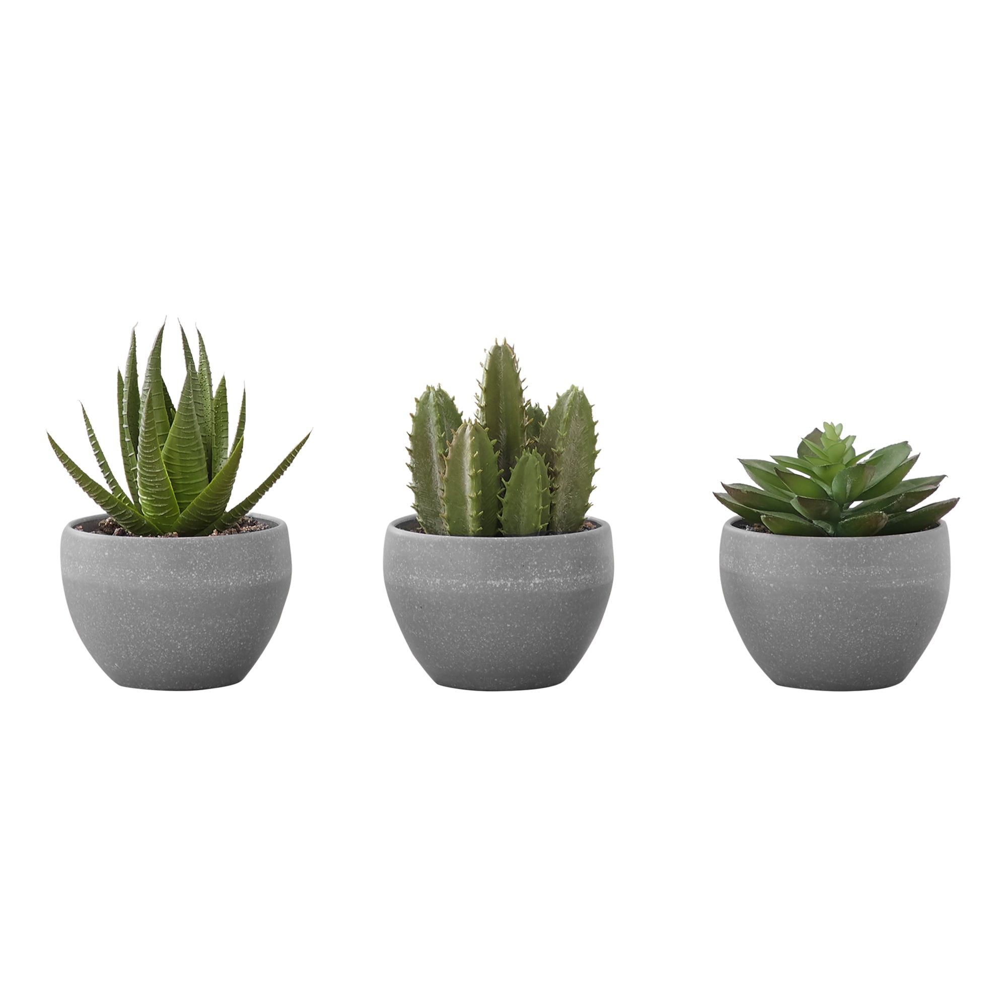 Artificial Succulents