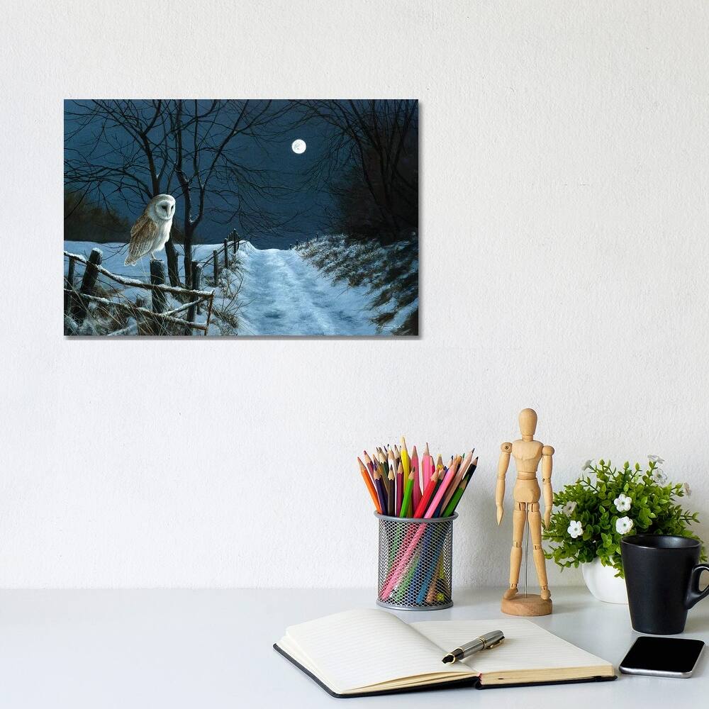 iCanvas "Hunter's Moon - Barn Owl" by Jeremy Paul Canvas Print