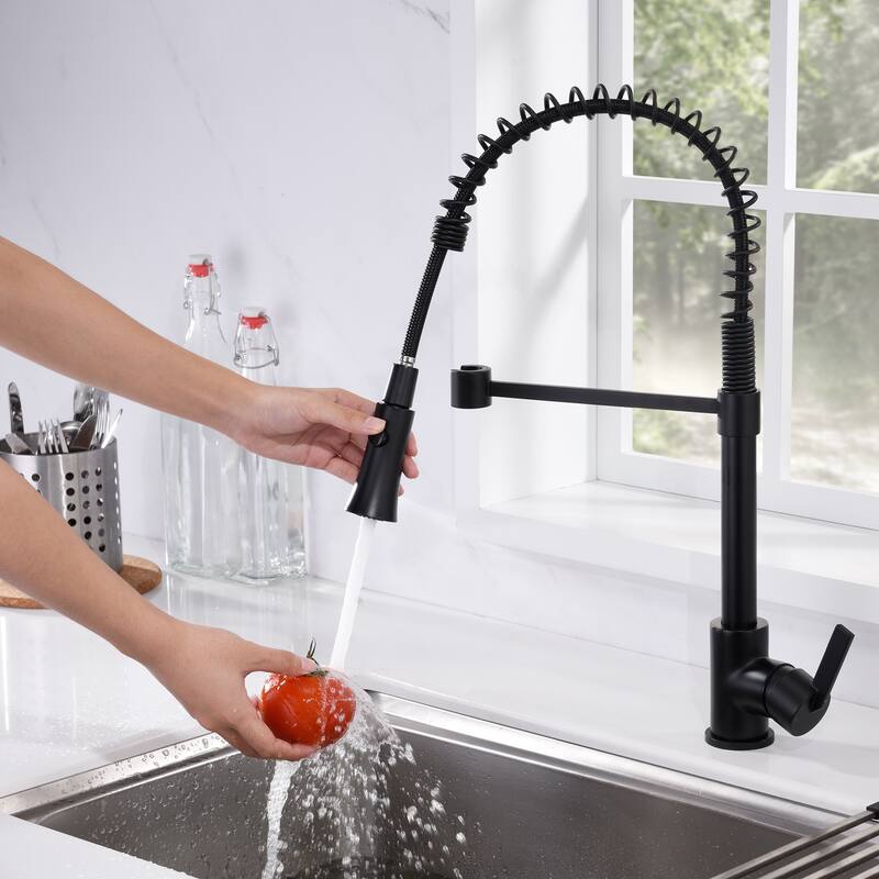 Luxier KTS13 Single Handle Pull Down Sprayer Kitchen Faucet